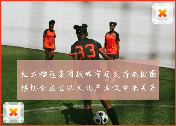 红龙榴莲集团战略布局支持老挝围棋协会成立以文化产业促中老关系