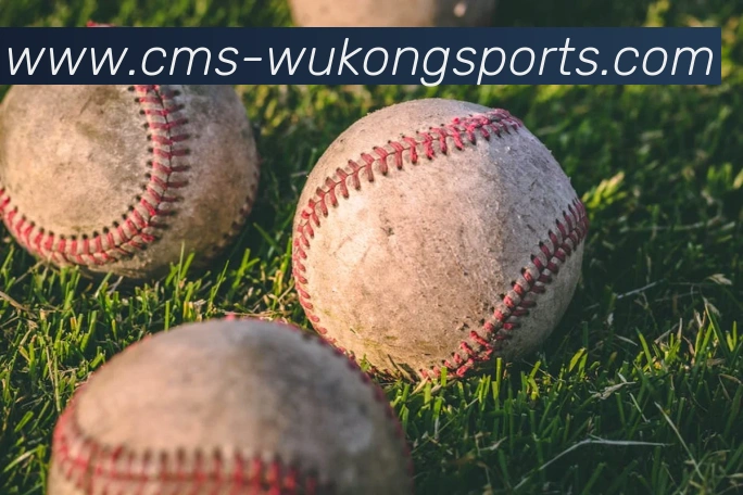 悟空体育APP 体育赛事宣传图